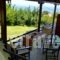 Samothraki Villa Michalis_accommodation_in_Villa_Aegean Islands_Samothraki_Samothraki Rest Areas