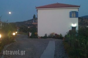 Elpis_best deals_Hotel_Aegean Islands_Lesvos_Anaxos