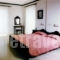 Blue Paradise Studios_best deals_Apartment_Ionian Islands_Kefalonia_Argostoli