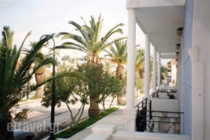 Blue Paradise Studios_accommodation_in_Apartment_Ionian Islands_Kefalonia_Argostoli