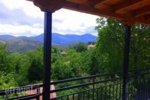 Dafni Apartments_holidays_in_Room_Peloponesse_Arcadia_Kastri