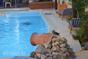 Thalassa_accommodation_in_Apartment_Crete_Chania_Nopigia