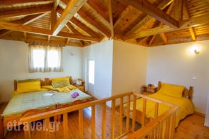 Studios Konstantina_lowest prices_in_Room_Epirus_Preveza_Lygia