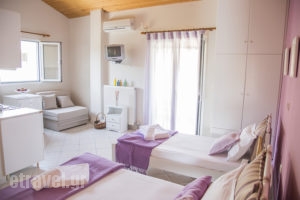 Studios Konstantina_holidays_in_Room_Epirus_Preveza_Lygia