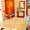 Studios Elina_lowest prices_in_Hotel_Aegean Islands_Thasos_Thasos Rest Areas