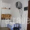 Studios Pasas_holidays_in_Room_Cyclades Islands_Naxos_Naxos Chora