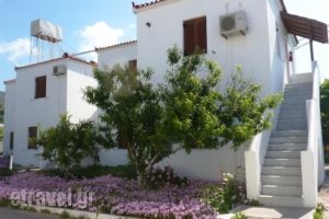 Studios Calvinos_holidays_in_Hotel_Aegean Islands_Samos_Marathokambos