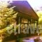 Montage Suites_best deals_Apartment_Peloponesse_Achaia_Kalavryta