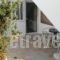 Mandorla Apartments_best deals_Apartment_Dodekanessos Islands_Rhodes_Rhodes Areas