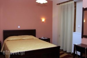 Guesthouse Idiston_lowest prices_in_Hotel_Macedonia_kastoria_Aposkepos