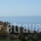 Platanos Studios_best deals_Hotel_Crete_Rethymnon_Plakias