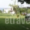 Stella-Meri Studios Apartments_accommodation_in_Apartment_Macedonia_Halkidiki_Nea Skioni