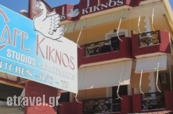 Kiknos Studios hollidays