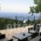 Evi's Studios_best deals_Hotel_Ionian Islands_Lefkada_Lefkada Rest Areas