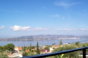 Raymondos Apartments_best prices_in_Apartment_Ionian Islands_Kefalonia_Argostoli