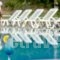 Olive Grove Resort_accommodation_in_Hotel_Ionian Islands_Corfu_Corfu Rest Areas