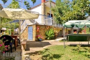 Studios Olga_travel_packages_in_Aegean Islands_Thasos_Thasos Rest Areas