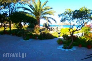 Studios Stefani_lowest prices_in_Hotel_Aegean Islands_Lesvos_Petra