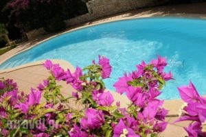 Stamoulis Villas_best prices_in_Villa_Ionian Islands_Kefalonia_Kefalonia'st Areas