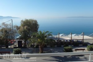 Hotel Alexandrion_holidays_in_Hotel_Thessaly_Magnesia_Pilio Area