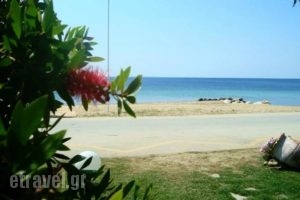 Karali Studios_holidays_in_Hotel_Macedonia_Halkidiki_Nikiti