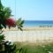 Karali Studios_holidays_in_Hotel_Macedonia_Halkidiki_Nikiti