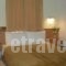 Chrysa Studios_best prices_in_Hotel_Dodekanessos Islands_Rhodes_Lindos