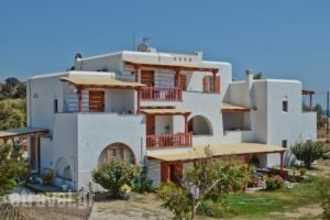 Ydreos Studios & Apartments_holidays_in_Apartment_Cyclades Islands_Naxos_Mikri Vigla