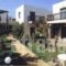 Pelamare_best deals_Hotel_Crete_Heraklion_Vathianos Kambos