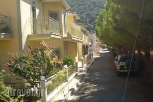 Evangelia_best prices_in_Hotel_Ionian Islands_Kefalonia_Aghia Efimia