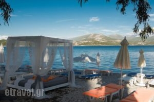 Mavra Studios_accommodation_in_Hotel_Ionian Islands_Lefkada_Vasiliki