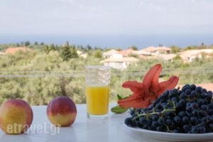 Pansion Filoxenia Apartments & Studios_travel_packages_in_Ionian Islands_Lefkada_Lefkada Chora