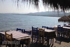 Nifida Beach Hotel_holidays_in_Hotel_Aegean Islands_Lesvos_Polihnitos