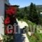 Villa Polyxeni Apartments_best prices_in_Villa_Ionian Islands_Lefkada_Sivota