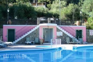 Afrodite'S Pool And Studios_best prices_in_Hotel_Ionian Islands_Corfu_Palaeokastritsa