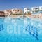 Golden Sun Apartments_accommodation_in_Apartment_Dodekanessos Islands_Karpathos_Karpathos Chora