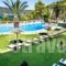 Hotel Punta_travel_packages_in_Sporades Islands_Skiathos_Skiathos Chora