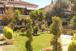 Angela'Studios_accommodation_in_Hotel_Ionian Islands_Lefkada_Sivota