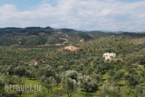 Elaionas Studios_lowest prices_in_Hotel_Peloponesse_Lakonia_Skoutari