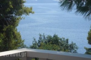 Maria Studios_holidays_in_Hotel_Sporades Islands_Alonnisos_Patitiri