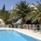 Albatross Hotel_best prices_in_Hotel_Cyclades Islands_Paros_Piso Livadi