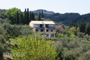 Villa Bouka_accommodation_in_Villa_Ionian Islands_Corfu_Afionas