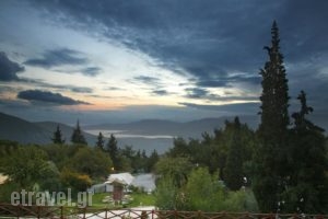 Amalia Hotel Delphi_best deals_Hotel_Central Greece_Fokida_Delfi