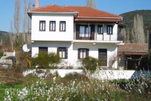 Zmas Studio_best prices_in_Hotel_Central Greece_Evia_Istiea