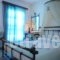 Studio Irene_accommodation_in_Hotel_Cyclades Islands_Naxos_Naxos chora