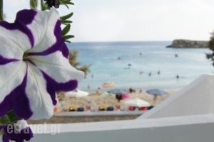 Nikos Studios_holidays_in_Hotel_Dodekanessos Islands_Karpathos_Karpathosora