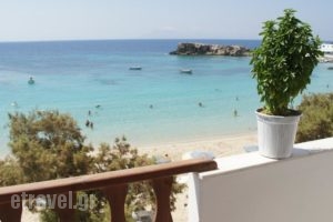 Nikos Studios_travel_packages_in_Dodekanessos Islands_Karpathos_Karpathosora