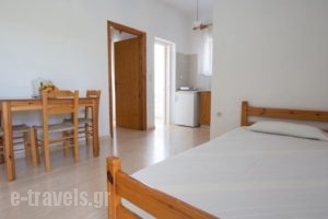 Elena Rooms & Apartments_holidays_in_Room_Crete_Chania_Nopigia