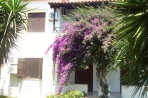 Hotel Elytis_accommodation_in_Hotel_Thessaly_Magnesia_Pinakates