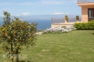 Hotel Theasi_holidays_in_Hotel_Peloponesse_Achaia_Diakopto